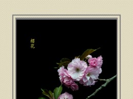 樱花