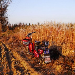 冬游（原创摄影）