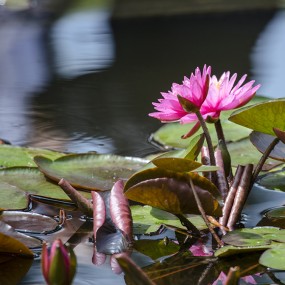 有一种美叫沉静