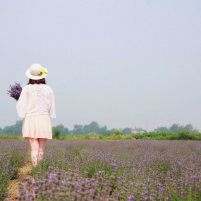 薰衣草人像