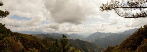 秦岭黄柏源