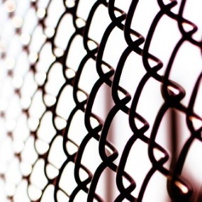 钢丝网的寂静……