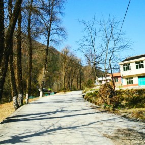 栓马岭风景