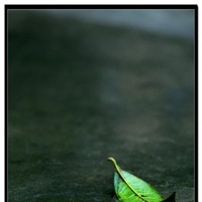 分享雨天摄影作品~（来自网络）