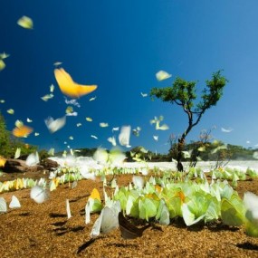 『国家地理』图集：全球视野