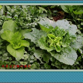 人人都离不开的好东东