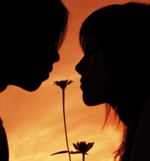 让你的侧面闪光