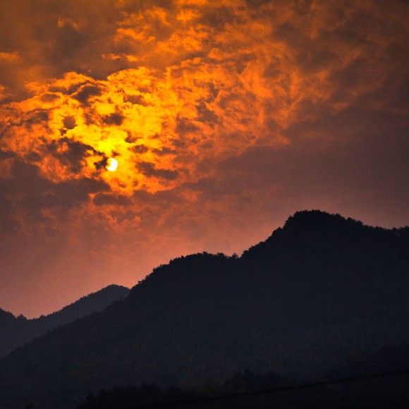 深秋探访浙江长兴银杏村