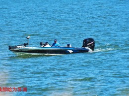 路遇野狼（亚利桑那）