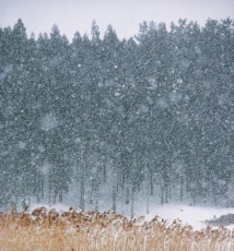 冬景摄影技巧 竹内敏信风光讲坛9