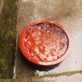 雨中小景