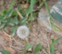 校园门口，孩子们终于考完了，孩子们放假了，家长也放假了