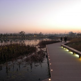 大明宫遗址公园夜景美图（二）