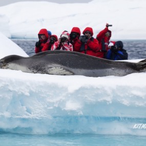 震撼心灵的168小时——我眼中的南极