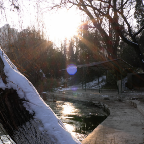 年初二  逛逛兴庆公园