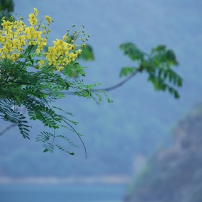 水原来可以这样的翠！