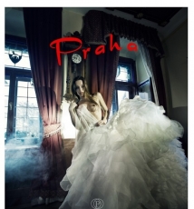 生命不可承受之重 布拉格酒店