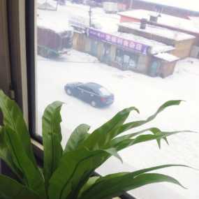 隔窗观雪