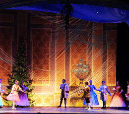 俄罗斯。天鹅湖