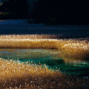 我眼中的九寨沟 历次图片合辑