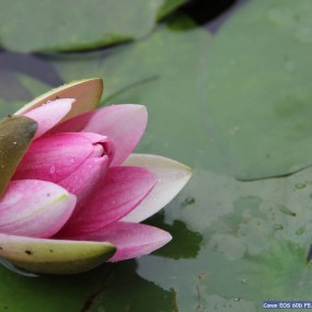 新手初学者随意拍的 希望大家给点意见 提高一下自己的水平