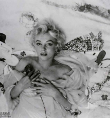 Cecil Beaton 永远的康乃馨