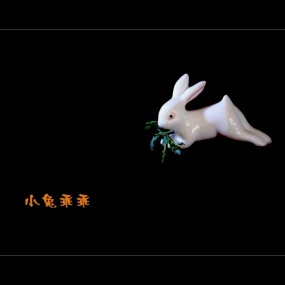小白兔