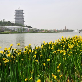 参赛作品-新世园美世园