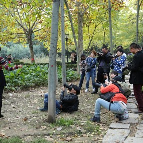 第201510期摄影培训班专属外拍实践课花絮-丰庆公园