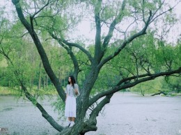 后青春的诗