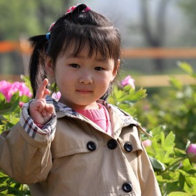 女孩如花