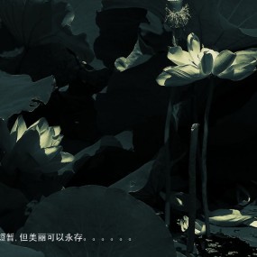 荷之睡意-航海王基德