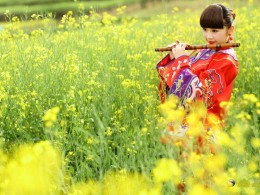 杨庄菜花香