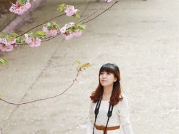 雨后七日樱 人像