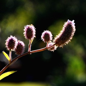 酒庄酒庄，不看心慌。 （都是我一个人发帖， 我都不好意思了）