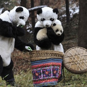 Reuters 2011 优秀新闻图片