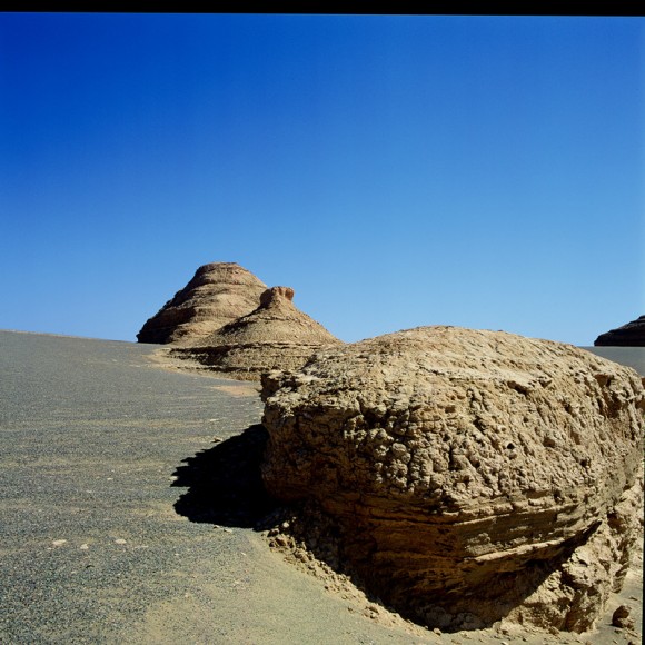 摄影新手发帖各位见笑了