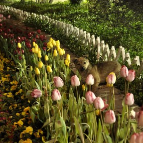 闯进我镜头的家伙