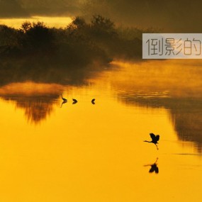 水中画映---秋季教你拍摄倒影