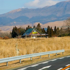 09年拍的几张片子