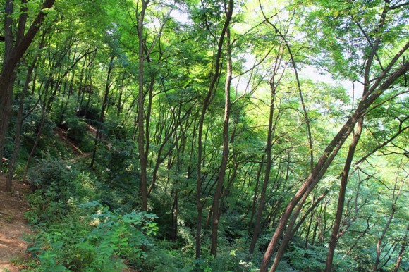 金龙峡风光