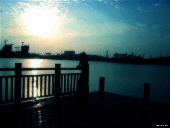 新手刚来发几张照片曲江池