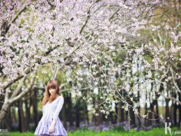 花铃