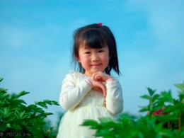 牡丹仙子