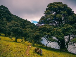 苍山上，洱海边。