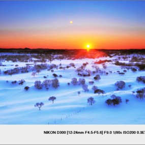 冬日的坝上----不迟到作品