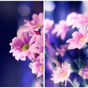 Andrey Solovyov 精彩的风光摄影