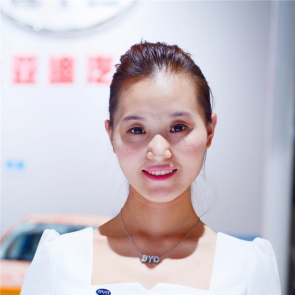 比亚迪车模