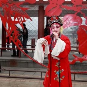 共赏芙蓉园