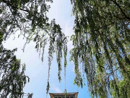 由近及远拍【长安塔】